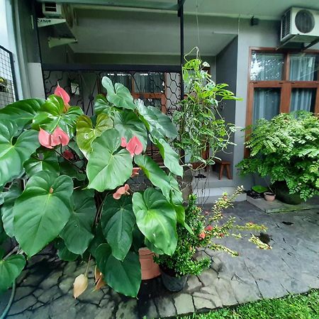 Rumah566 Yogyakarta Exteriör bild