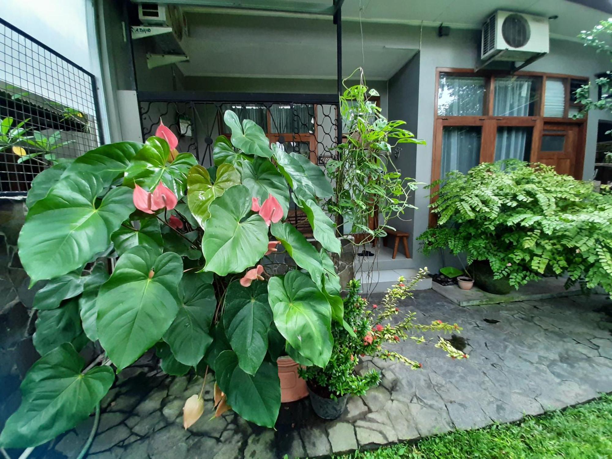 Rumah566 Yogyakarta Exteriör bild